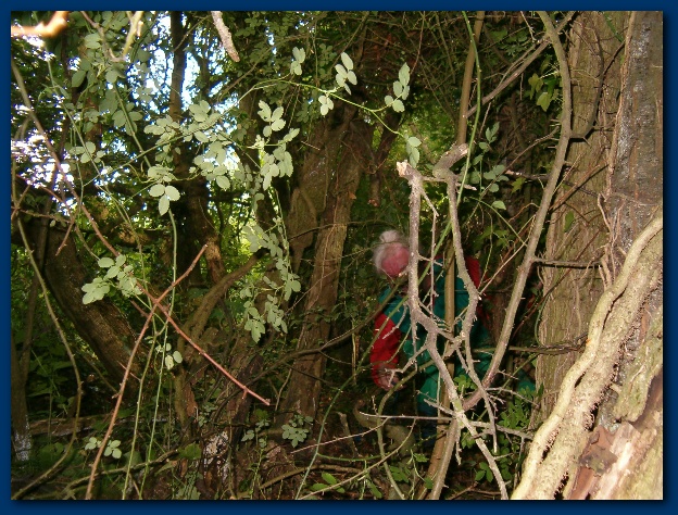 600x449 pixels (203K)